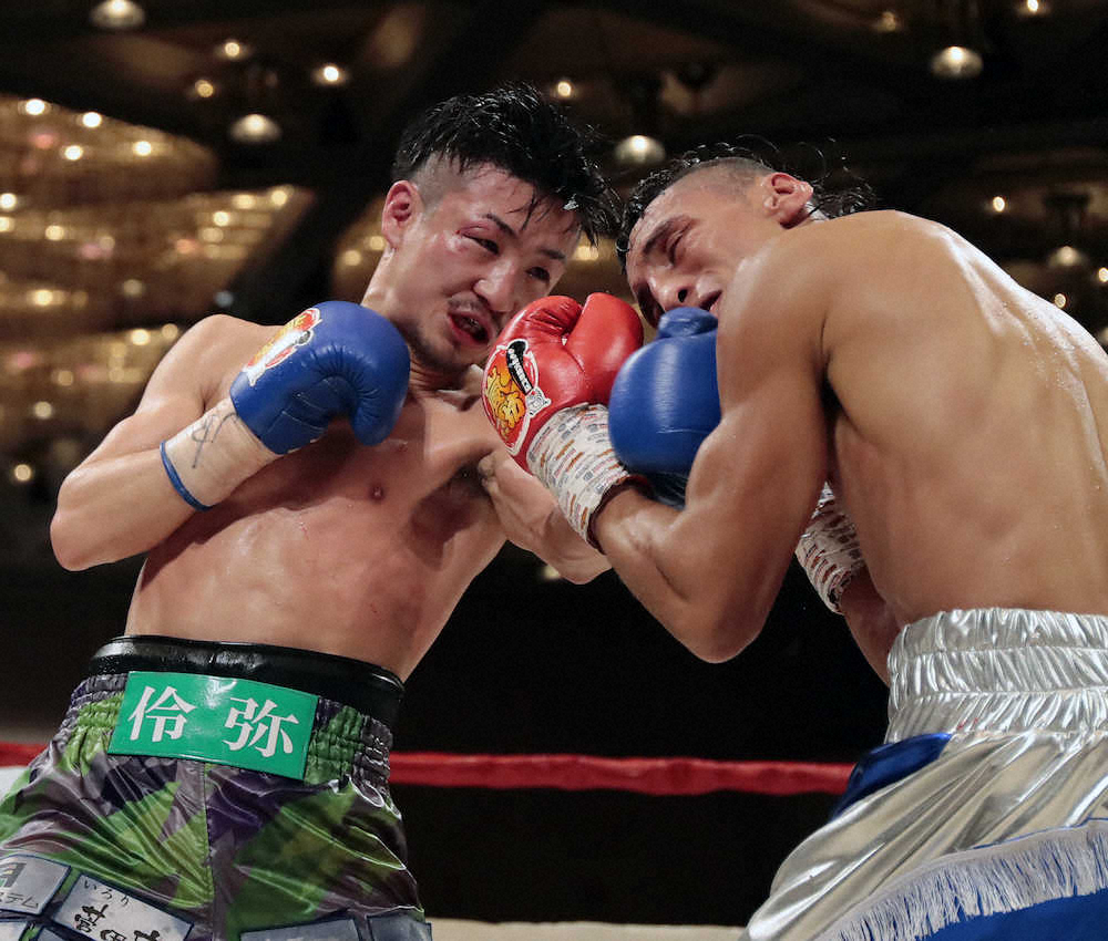 【画像・写真】小西　ド根性打ち合いも判定負け…2度目の世界挑戦「完敗」