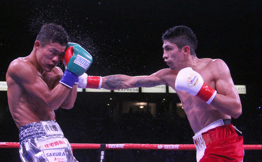 【画像・写真】和毅リベンジならず…判定0－3で王座統一失敗「負けは認める」