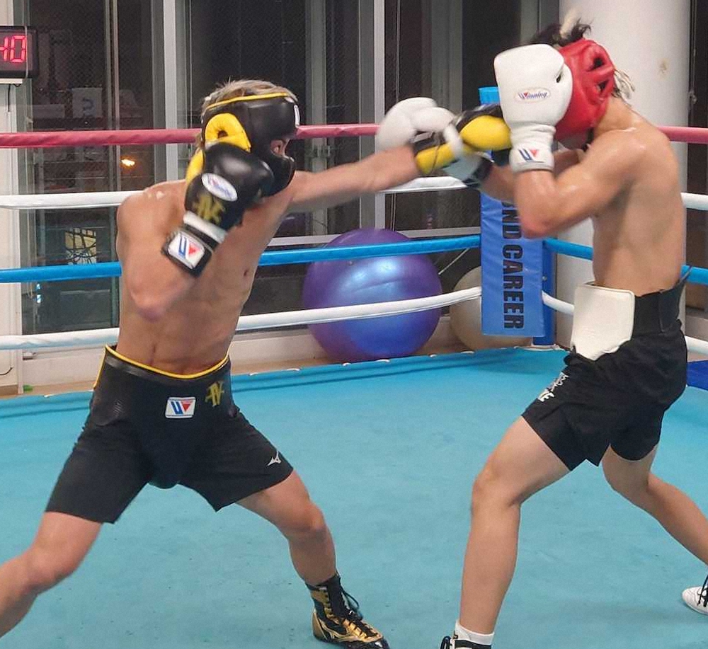 井上尚弥 国内ラストスパーリング 納得の出来 楽しみでワクワク スポニチ Sponichi Annex 格闘技