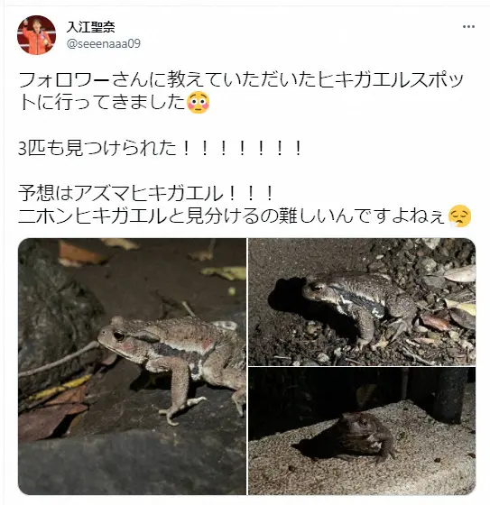 【画像・写真】女子ボクシング金の入江聖奈　「ヒキガエルスポットに行ってきました」　さっそくカエル探しの旅へ