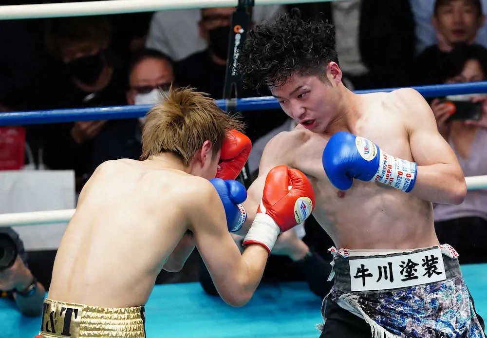 【画像・写真】東日本スーパーフライ級新人王は五十嵐春輝　アウトボクシング徹底「全日本は全部楽しむ」