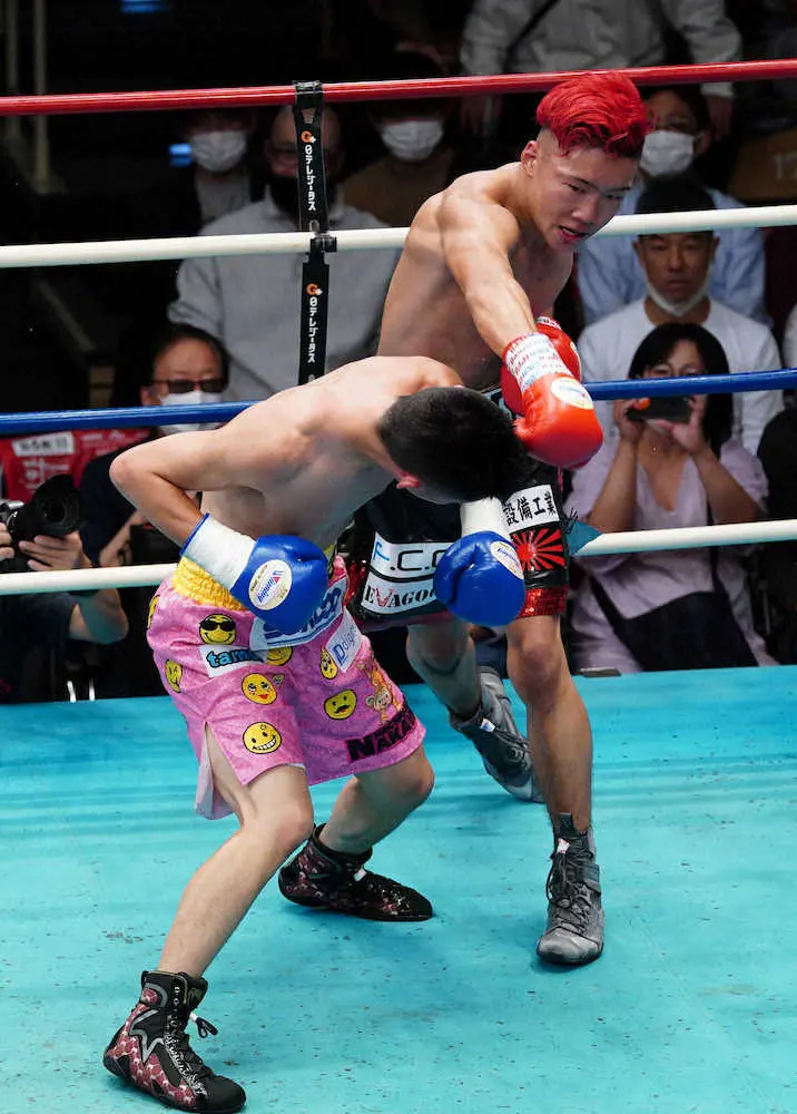 【画像・写真】10代対決のスーパーフェザー級は岩本星弥が4回TKO勝利　JB　SPORTSジムからダブル新人王