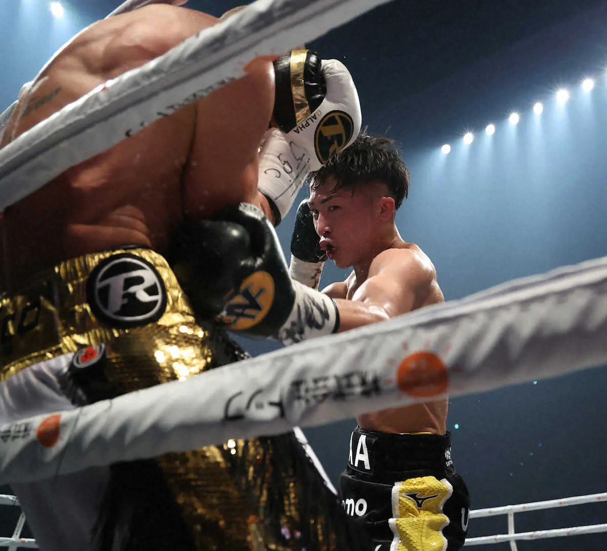 【画像・写真】5回、バトラー（左）に右ボディブローを浴びせる井上（代表撮影）