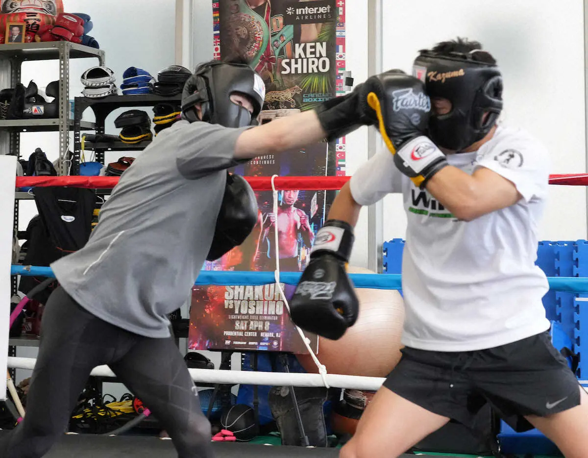 【画像・写真】3団体統一戦中止の拳四朗が公開練習でアマのホープを圧倒「勝っていけば統一戦はできる」