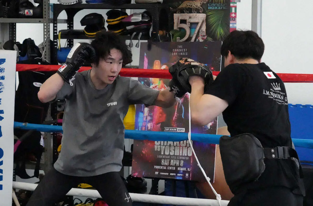 【画像・写真】拳四朗　対戦相手が肺炎発症で3団体統一戦中止　相手変更で通常の防衛戦に