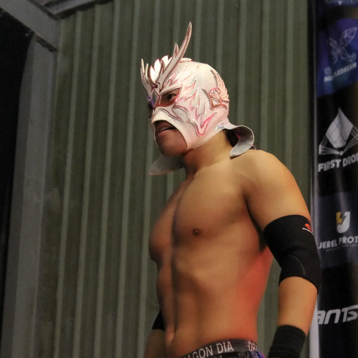 【画像・写真】ドラゴンダイヤ（撮影・酒井卓也）