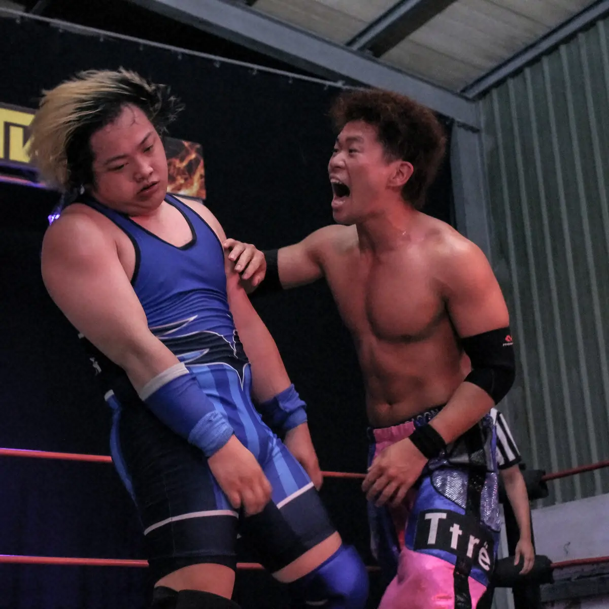 【画像・写真】打撃の打ち合いをするドラゴン・ダイヤ（右）（撮影・酒井卓也）