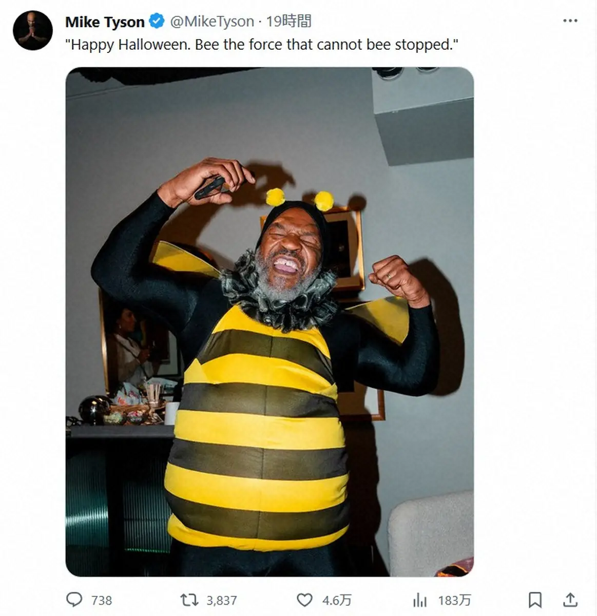 【画像・写真】マイク・タイソン氏　まさかの着ぐるみコスプレ！「可愛い一面ｗ」「これに刺されたら一瞬でダウン」の声