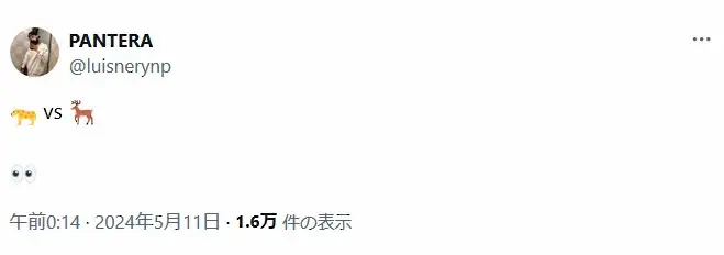 【画像・写真】フェザー級転向後に実現させたい試合を示唆！？ルイス・ネリのXから（@luisnerynp）。
