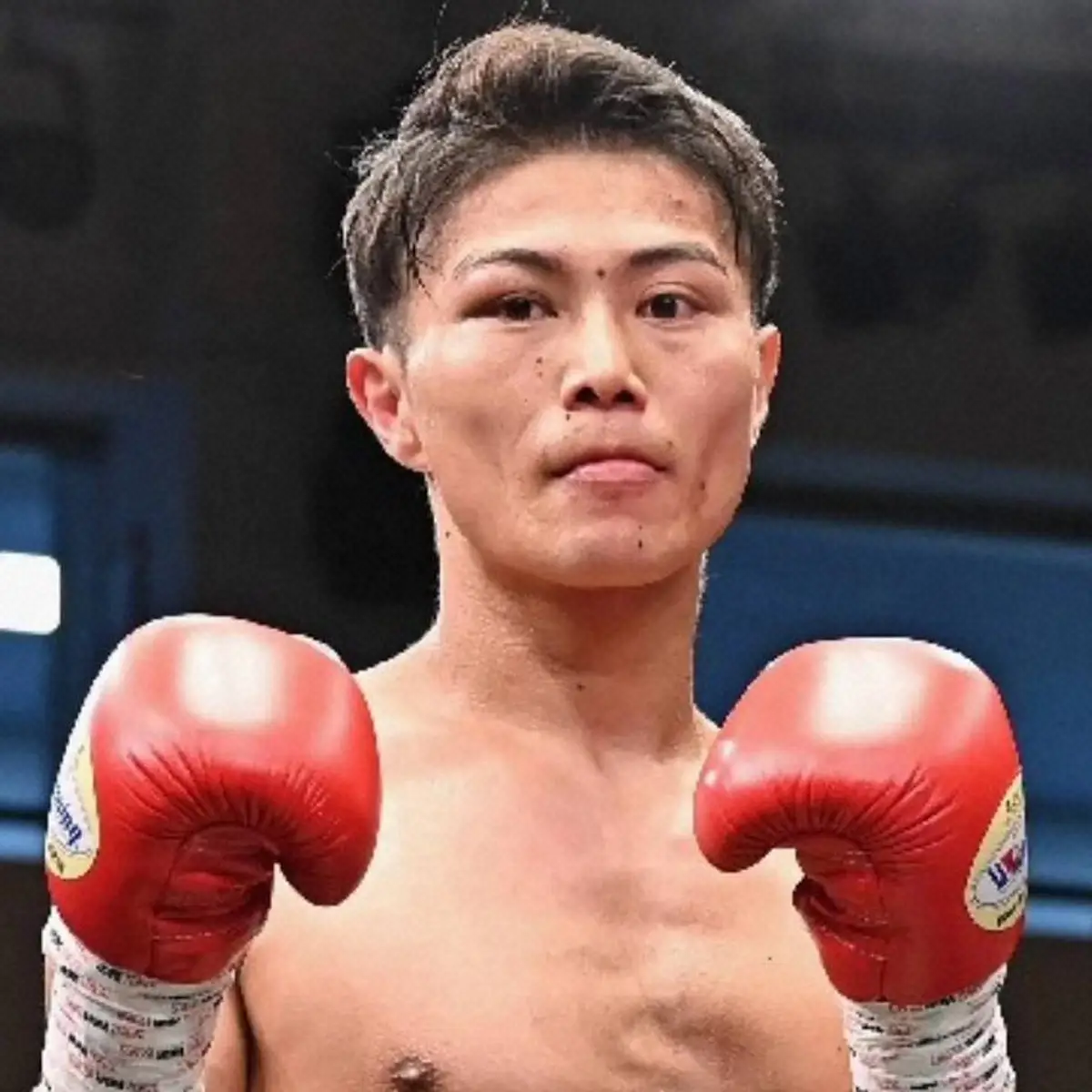 【画像・写真】【ボクシング】WBOAPライト級王者・保田克也　7・9フェニックスバトルで3度目防衛戦