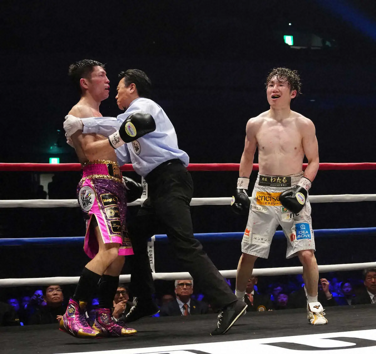 【画像・写真】2階級での複数団体王座統一の寺地拳四朗「次はスーパーフライ級のバムとやりたい。絶対勝ってみせる」