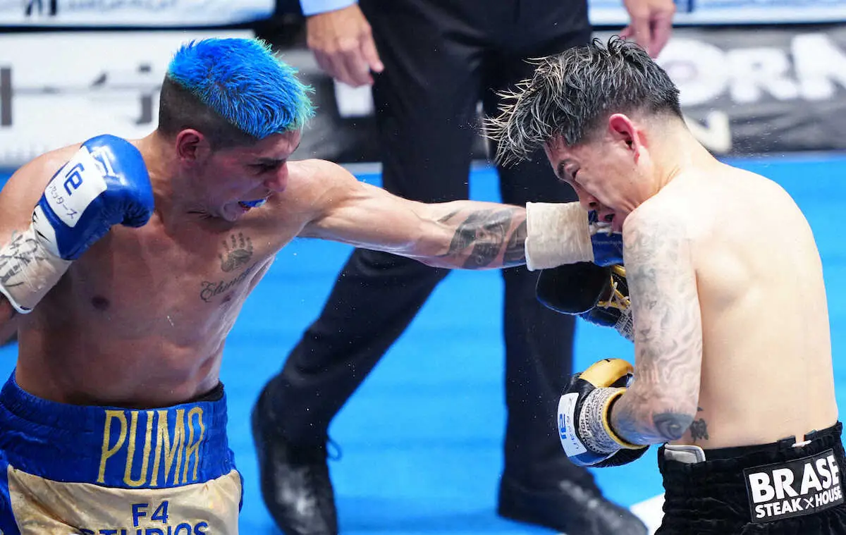 【画像・写真】現役世界王者・矢吹正道「見る人によって展開が変わる」　マルティネスVS井岡の再戦を展開予想！