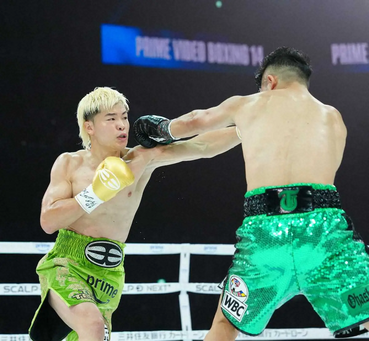 【画像・写真】那須川天心が負けた…試合後には正座で謝罪　格闘技キャリア初黒星にネット衝撃「歴史が動いた」「まじか」