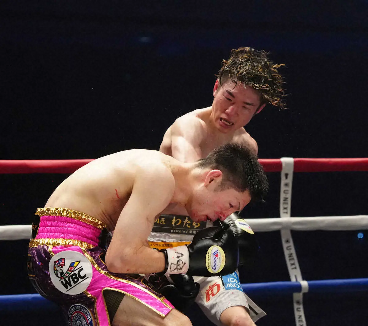 【画像・写真】井上尚弥が米リング誌の年間MVP候補に　最高試合候補には寺地拳四朗vsユーリ阿久井政悟など