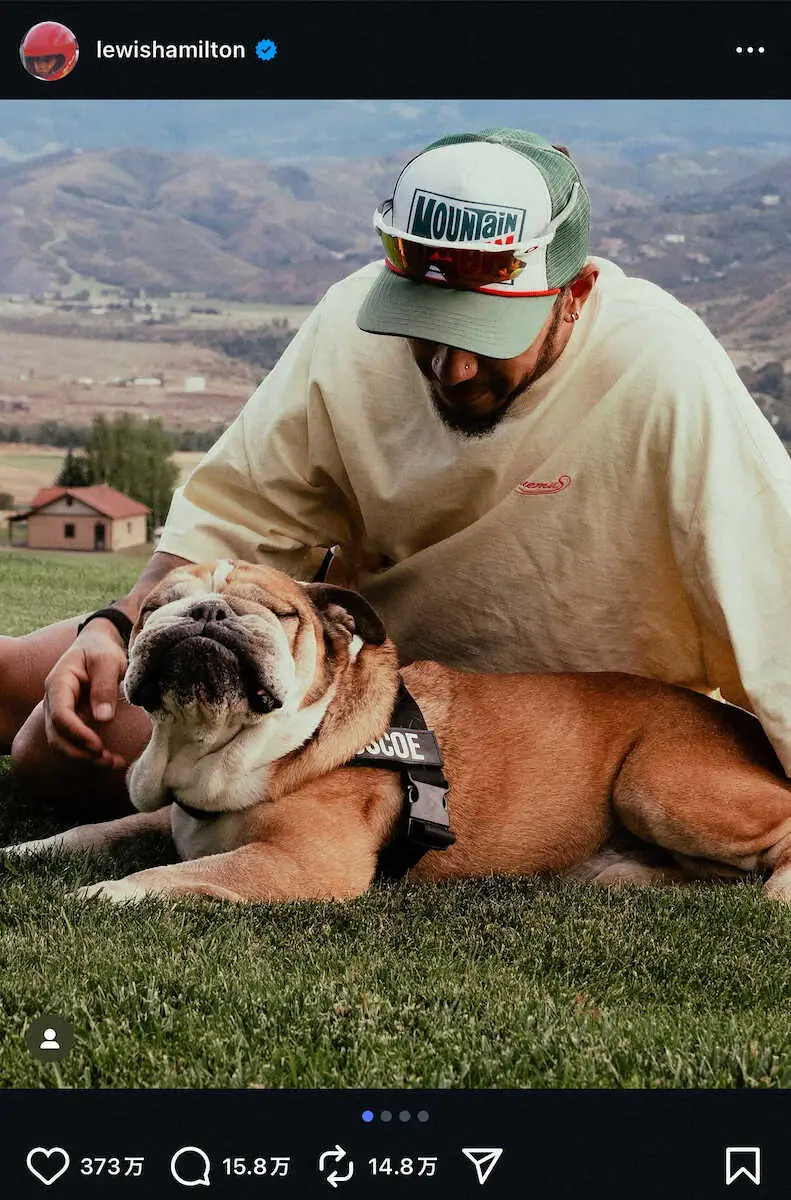【画像・写真】ルイス・ハミルトン「腕の中で亡くなった」　12歳だった愛犬の他界報告「最後まで戦いをやめなかった」
