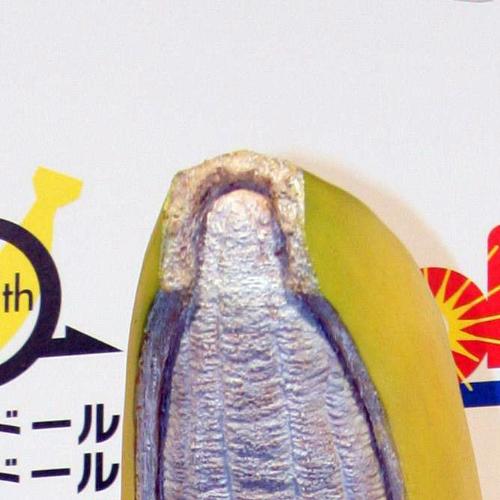 香取慎吾の新ＣＭの発表会で披露された、バナナのかぶりものの先端部分。非常によくできている。