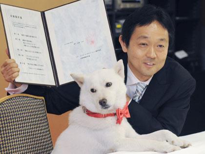 初主演ＤＶＤの出演契約書に調印した、北海道犬のカイ君とビクターエンタテインメントの加藤裕一社長