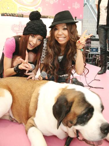 【画像・写真】「リルビー」爆ヒット！１００万ＤＬ突破