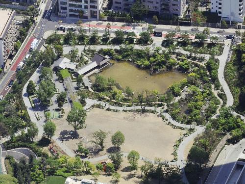 【画像・写真】草なぎ容疑者、現場は東京の新名所の裏