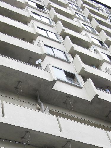 【画像・写真】酒井法子容疑者“謎の６日間”継母と逃走していた？