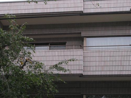 【画像・写真】酒井被告　退院後は継母と世田谷億ション？