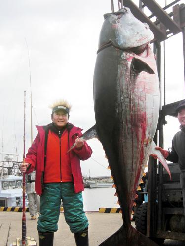「萩クロマグロトーナメント」で特大マグロを釣り上げた松方弘樹さん＝２２日午後（萩市水産課提供）