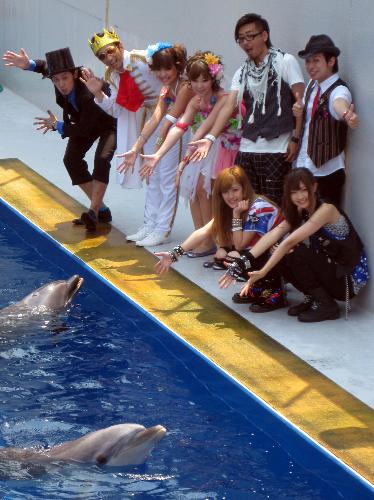 イルカと戯れる「Ｂｅｒｒｙｚ工房」の夏焼雅（手前左）熊井友理奈（手前右）と「Ｔ―Ｐｉｓｔｏｎｚ＋ＫＭＣ」メンバー（後列）
