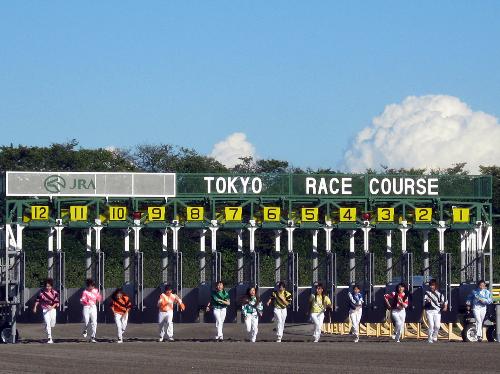 東京競馬場のダートコースで“人間競馬”を行った、ＡＫＢ４８の姉妹ユニットの「ＳＤＮ４８」選抜メンバー１２人