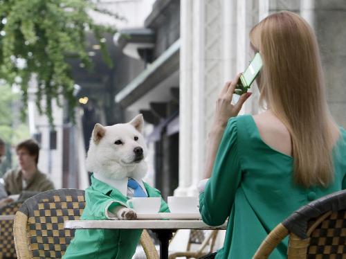 【画像・写真】お父さん犬　金髪美女とおしゃれデート？