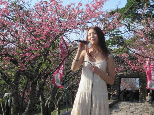 日本一早く開花した沖縄・今帰仁城の桜を背に新曲「いくたびの櫻」を熱唱するふくい舞