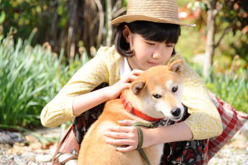 日本テレビのスペシャルドラマ「犬の消えた日」で柴犬の雑種と熱演する、荒川ちか