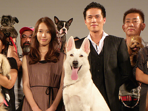 試写会で犬に囲まれ笑顔の市原隼人と戸田恵梨香