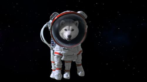 【画像・写真】お父さん、ついに宇宙遊泳！ソフトバンク新ＣＭ放送開始