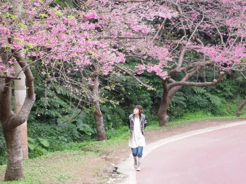 日本一早く咲く沖縄の桜を見に行った上野樹里。