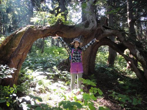 ＴＢＳ系「生命のチカラ　日本の天然杉～佐渡・忘れられた森の物語～」で初めてドキュメンタリーに挑戦した川島海荷