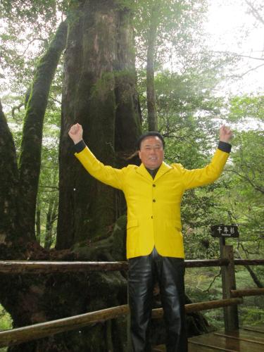 屋久島の世界遺産登録２０周年記念曲「屋久島」を歌う細川たかし。樹齢１０００年以上の「千年杉」の前でガッツポーズ