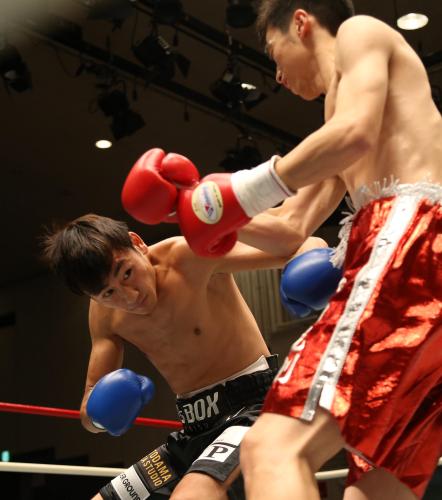 【画像・写真】「キマグレン」榑井　ＫＯ負けデビュー「全然違いました」