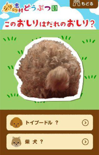 【画像・写真】何のお尻？「志村どうぶつ園」スマホ連動キャンペーン実施