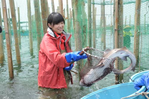 【画像・写真】指原　総選挙Ｖ２獲ったど～　いきなり「奇跡」タイ釣り