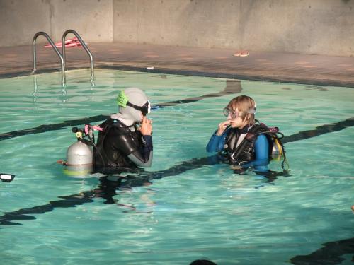 【画像・写真】さんま「からくりＴＶ」後継番組　長女ＩＭＡＬＵがレギュラー出演