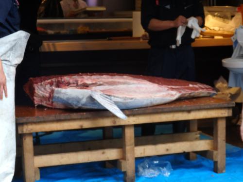 【画像・写真】“松方マグロ”すしざんまいが１８４万円で落札　さっそく店頭に