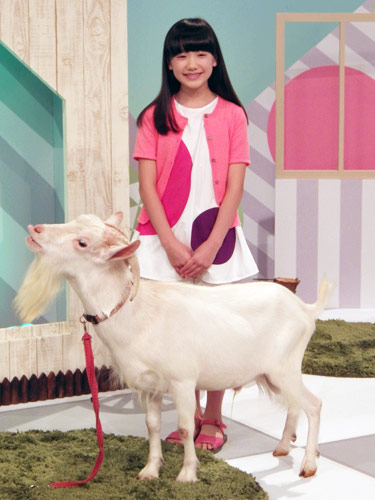 ＮＨＫ・Ｅテレの特集番組でヤギとタッグを組む芦田愛菜