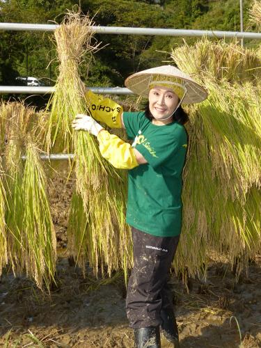 新潟県長岡市の旧山古志地区にある「小林幸子田」で米の収穫を行った小林幸子