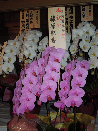 【画像・写真】愛之助　座頭の歌舞伎開幕、紀香からピンクのコチョウラン届く