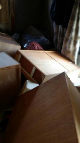 【画像・写真】井上晴美、恐怖語る…４年前から在住の熊本で被災「パニックに」