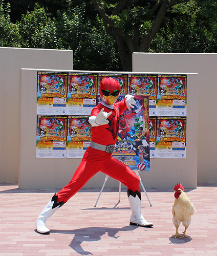 【画像・写真】“奇跡のニワトリ”まさひろくん　ジュウオウイーグルと“鳥類共演”