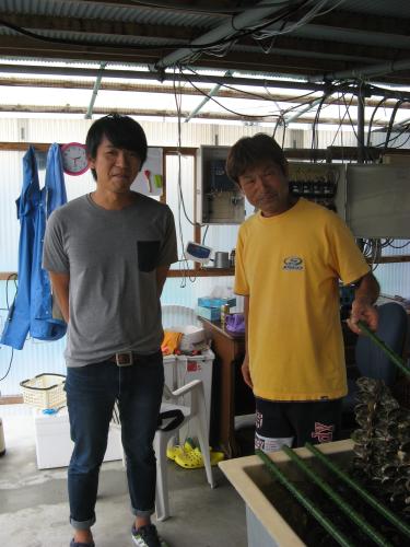海苔の種付けは牡蠣の殻のフタにする。現場を見せてくれた阿部友紘さん（左）と父親の明さん