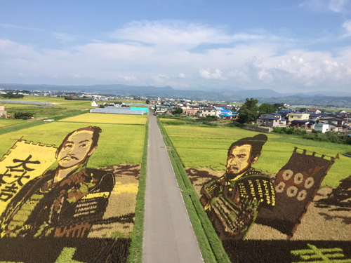 【画像・写真】草刈正雄、田んぼに描かれた真田昌幸と対面「見に来たかいがある！」
