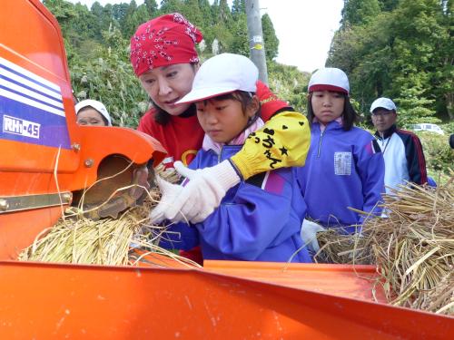 長岡市山古志地域の「幸子田」で収穫した稲の脱穀作業を、山古志小学校の児童と一緒に行った小林幸子