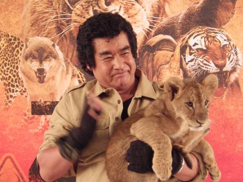 アメリカのドラマ「ＺＯＯー暴走地区ー」のＤＶＤ発売イベントで子供ライオンと“対決”した藤岡弘、